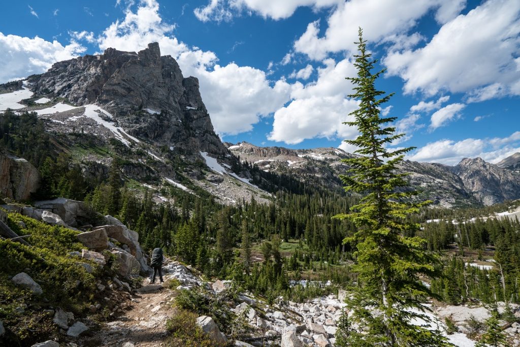 green trees in mountain during daytime