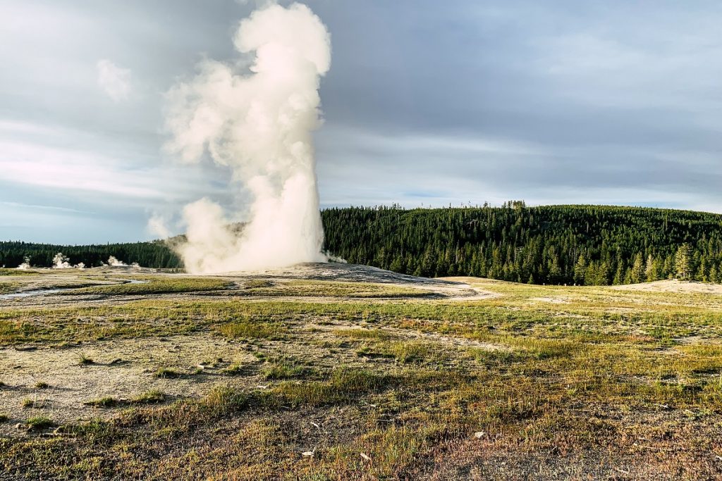 white geyser spout in green grass field