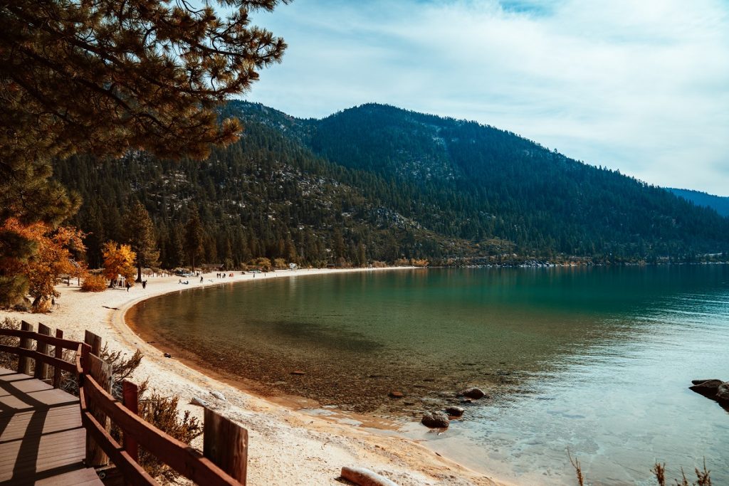 lake shore during daytime