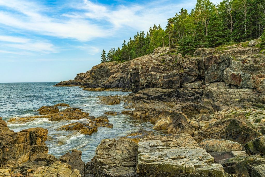 green trees on rock formation beside blue water and sky