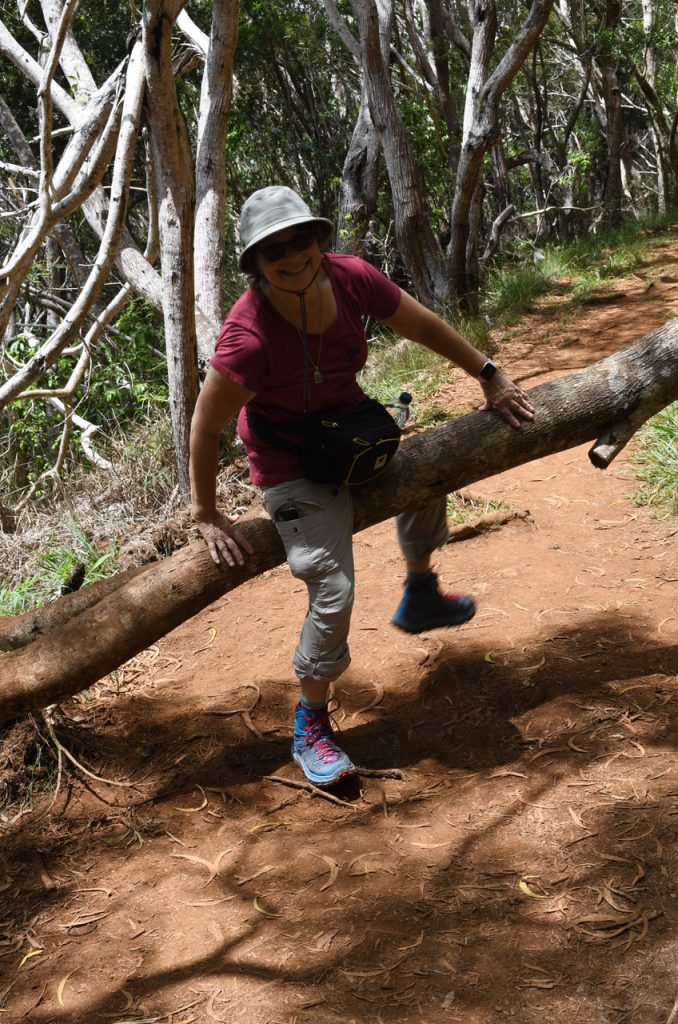 KauaiSandyCanyonTrail