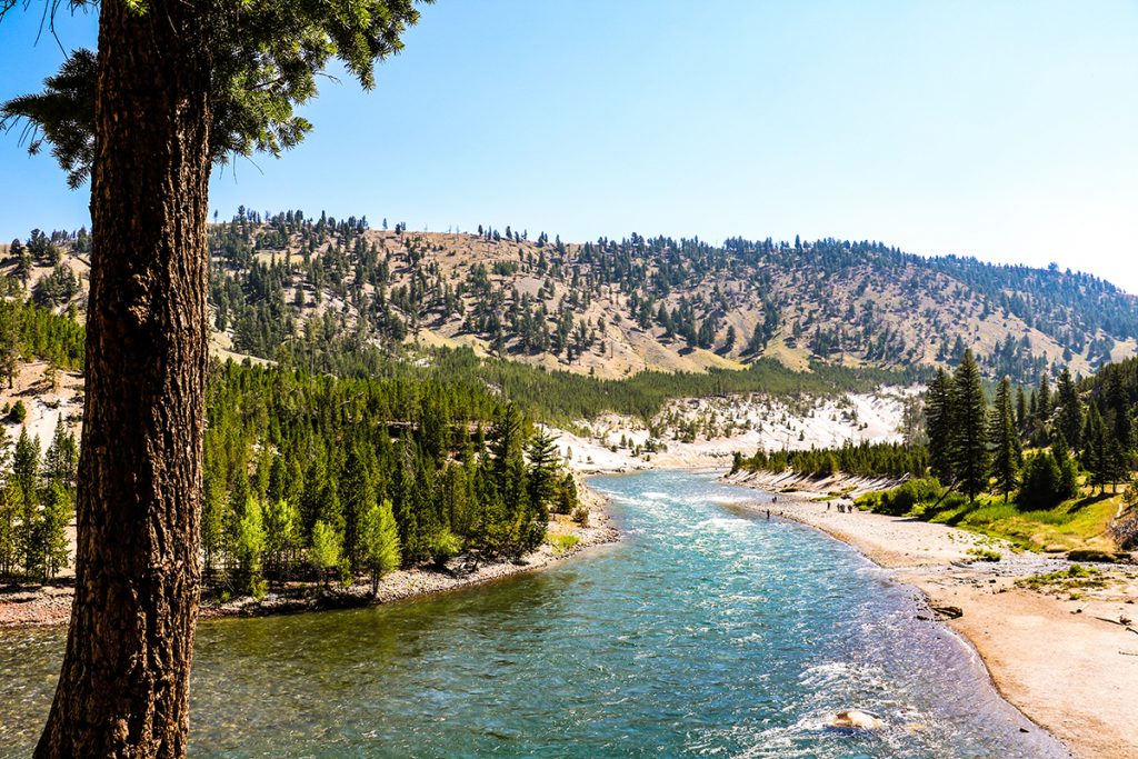 river between two coasts during daytime