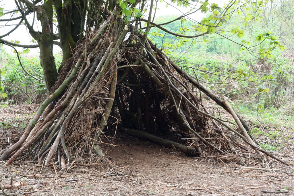 wigwam in the woods