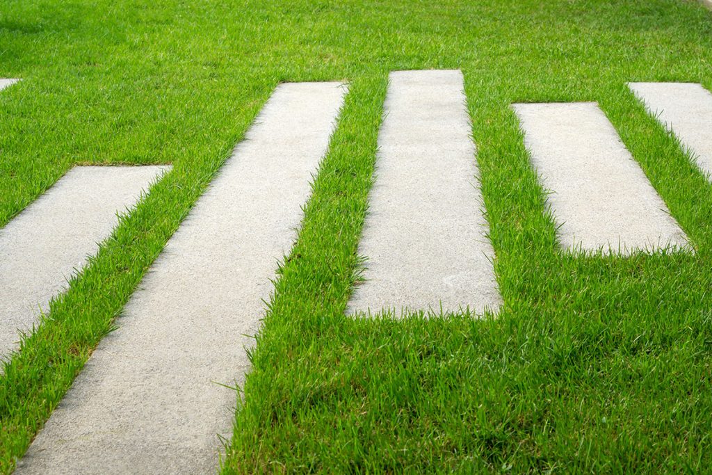 Gray color stepping, strip line pavement and green grass lawn in garden