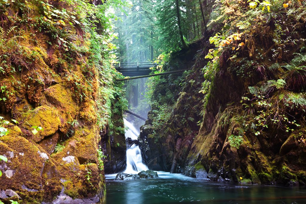 Sol Duc Fall with the Bridge in the Woods 