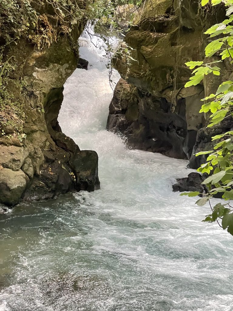 SBornsteinIsrael HermonStreamNatureReserve