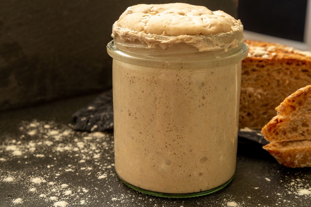 Homemade sourdough starter in glass on dark background and graham bread