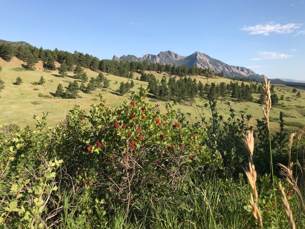 BoulderFlatironVista