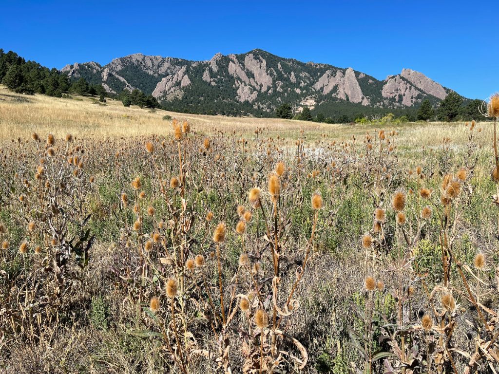 Boulder Trail NCAR