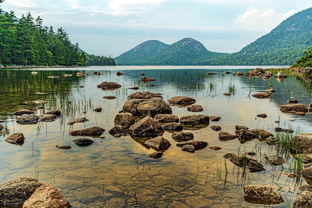 Brown Rocks on Water Near Green Trees