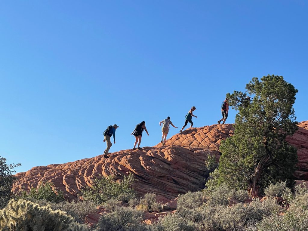 PetrifiedDunes